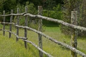 Wooden fence on the green grass in France