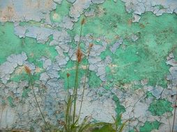 Landscape with green wall