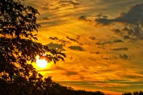 landscape of golden summer sunset