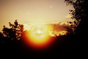 sunset over the trees in summer