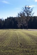 plowed land in the countryside