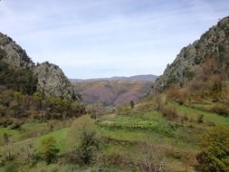 green valley at forested mountains, landscape