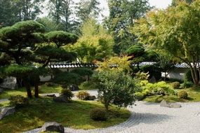 landscape of the botanical garden