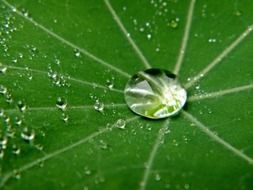 splendiferous drop of water