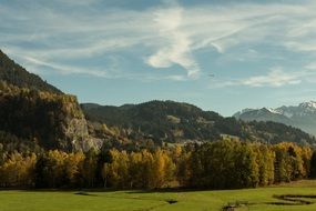 autumn forest near a green meadow