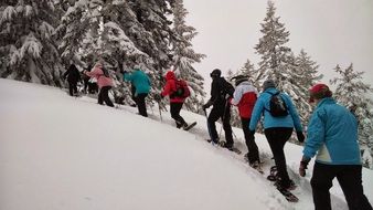 hiking snowshoeing