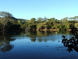 panorama of a picturesque forest lake