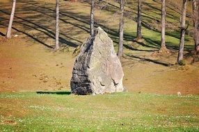 stone in the meadow