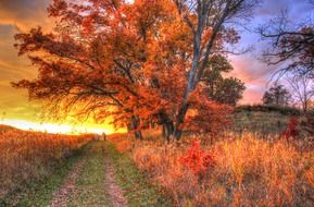colorful bright fall sunset, usa, wisconsin