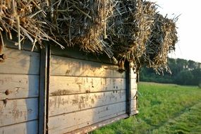 straw dare bales