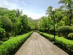 Green Landscape Of Alameda