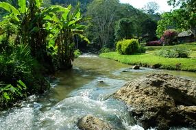 picturesque landscape near the river on a sunny day