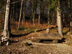 wooden bench in the mountain forest