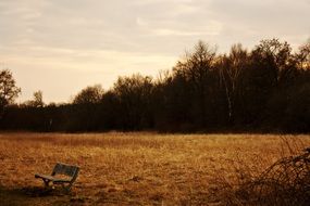 bench at twilight