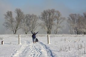 unimaginable snow trees