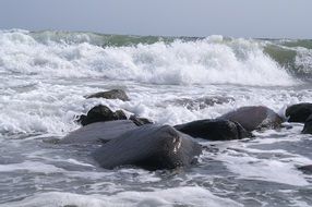 waves, foam and spray on the ocean