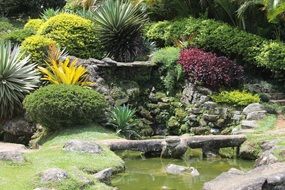 cascatinha garden landscap