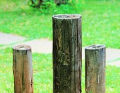 wooden poles on a green meadow close-up