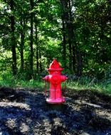red fire hydrant at green forest