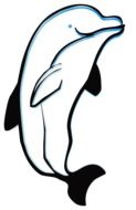 clipart of painted white dolphin