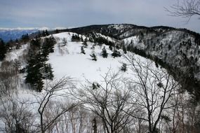 snow japan mountains