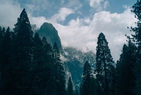 scenic snowy yosemite national park