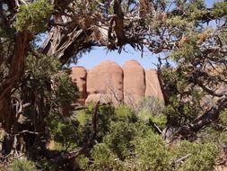 arches national park in Arizona