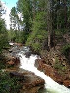 small waterfall on a river in the forest