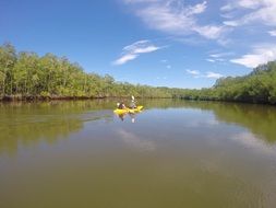 tourists are kayaking on the river in the jungle on a sunny day