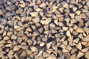 wood firewood timber