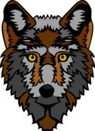 Colorful drawing of a beautiful wolf on a white background