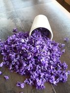 purple flowers in a fallen glass