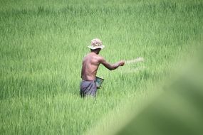 farmer on field