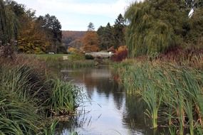 idyll park landscape at fall