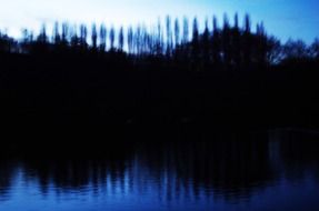reflection of black forest in a pond