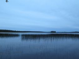 blue lake in the reeds in finland