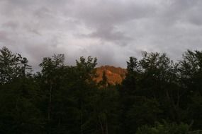 mountains and forests under the sky in Austria
