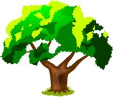 drawing of a tree with a green crown on a white background in computer graphics