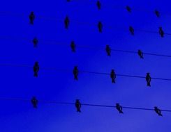 drawn birds sit on parallel wires against a blue sky