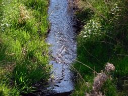 river bach water