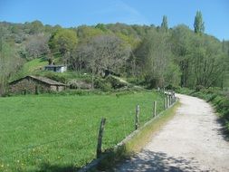 narrow road in the countryside on a sunny day