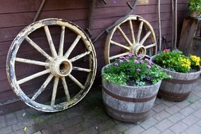 two wooden wheels near flower pots