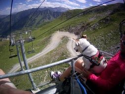 Dog on the chairlift on a mountains