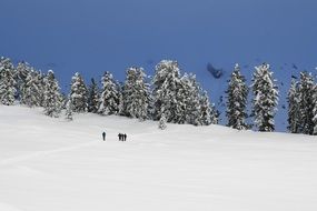 wintersnowshoeing