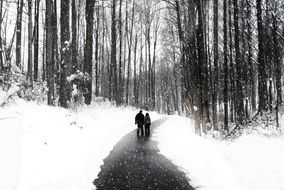 walking couple in snowy park scene