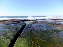 beach rocks surf