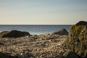 sea beach in Netherlands