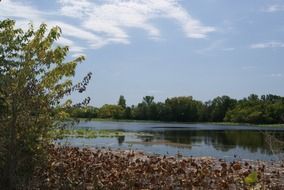 landscape of picturesque nature is reflected in the pond