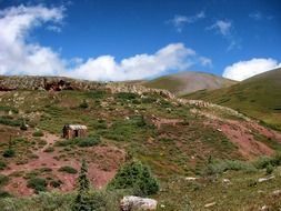 mountain shed in colorado
