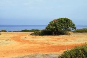 coastline green landscape